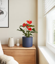 Load image into Gallery viewer, Deep Navy
