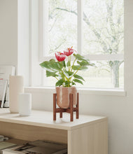 Load image into Gallery viewer, Hammered Peach Pink stand:walnut
