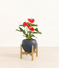 Load image into Gallery viewer, Deep Navy stand:bamboo
