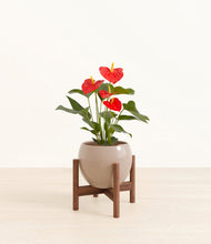 Load image into Gallery viewer, Desert Brown stand:walnut
