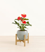 Load image into Gallery viewer, Deep Ocean stand:bamboo
