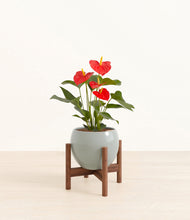 Load image into Gallery viewer, Deep Ocean stand:walnut
