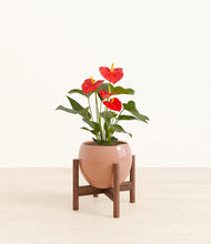 Load image into Gallery viewer, Calm Rose stand:walnut
