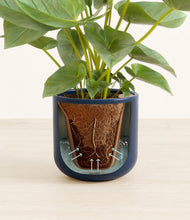 Load image into Gallery viewer, Twilight Blue stand:all
