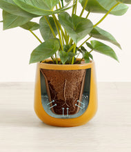 Load image into Gallery viewer, Mustard stand:all
