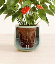 Load image into Gallery viewer, Turquoise stand:all
