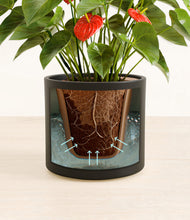 Load image into Gallery viewer, Black stand:all
