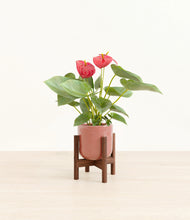 Load image into Gallery viewer, Hammered Rose Pink stand:walnut
