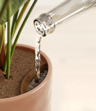 Load image into Gallery viewer, Hammered Peach Pink stand:all
