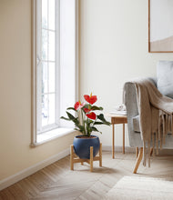 Load image into Gallery viewer, Deep Navy stand:bamboo
