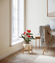 Load image into Gallery viewer, Shiny EggWhite stand:bamboo
