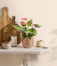 Load image into Gallery viewer, Hammered Peach Pink
