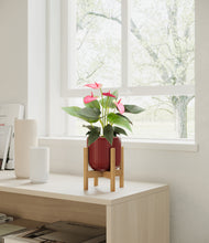 Load image into Gallery viewer, Striped Cherry Red stand:bamboo
