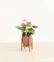Load image into Gallery viewer, Hammered Rose Pink stand:bamboo

