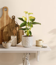 Load image into Gallery viewer, Hammered Ivory
