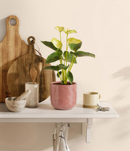 Load image into Gallery viewer, Hammered Rose Pink
