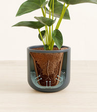 Load image into Gallery viewer, Iron Gray stand:all
