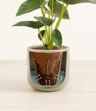 Load image into Gallery viewer, Sage Green stand:all
