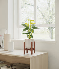 Load image into Gallery viewer, Snowdrift White stand:walnut
