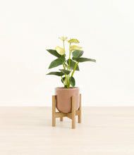 Load image into Gallery viewer, Hammered Peach Pink stand:bamboo
