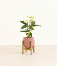 Load image into Gallery viewer, Striped Rose Pink stand:bamboo
