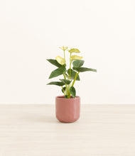 Load image into Gallery viewer, Hammered Rose Pink*****Profile
