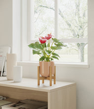 Load image into Gallery viewer, Glossy Pink stand:bamboo
