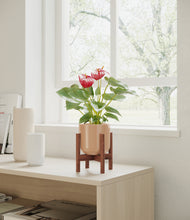 Load image into Gallery viewer, Glossy Pink stand:walnut
