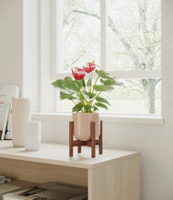 Load image into Gallery viewer, Sandy Pink stand:walnut
