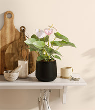 Load image into Gallery viewer, Black
