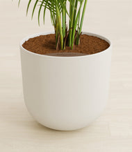 Load image into Gallery viewer, Natural Bamboo stand:all
