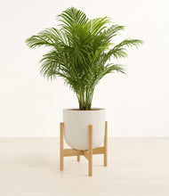 Load image into Gallery viewer, Natural Bamboo stand:bamboo
