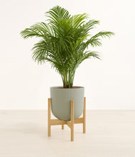 Load image into Gallery viewer, Sage Green stand:bamboo
