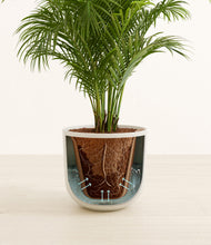 Load image into Gallery viewer, Natural Bamboo stand:all
