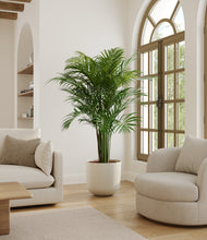 Load image into Gallery viewer, Natural Bamboo*****Profile
