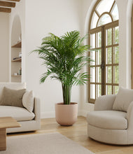 Load image into Gallery viewer, Sandy Pink*****Profile
