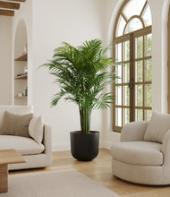 Load image into Gallery viewer, Stone Black*****Profile
