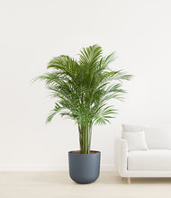 Load image into Gallery viewer, Iron Gray
