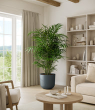 Load image into Gallery viewer, Iron Gray*****Profile
