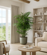 Load image into Gallery viewer, Sage Green*****Profile

