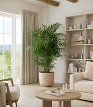 Load image into Gallery viewer, Sandy Pink*****Profile
