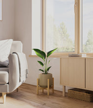 Load image into Gallery viewer, Olive stand:bamboo
