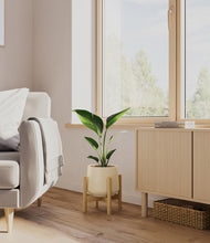Load image into Gallery viewer, Almond Green stand:bamboo
