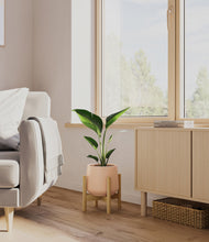 Load image into Gallery viewer, Gentle Pink stand:bamboo
