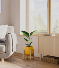 Load image into Gallery viewer, Mustard stand:bamboo

