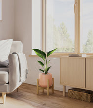Load image into Gallery viewer, Calm Rose stand:bamboo
