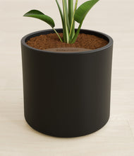 Load image into Gallery viewer, Black stand:all
