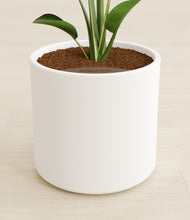 Load image into Gallery viewer, White stand:all
