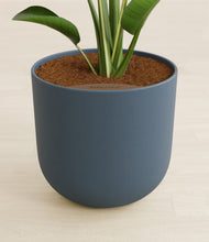Load image into Gallery viewer, Iron Gray stand:all
