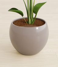 Load image into Gallery viewer, Winter Clouds stand:all
